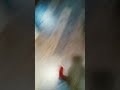 it Worked