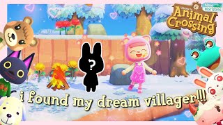 dreamy hunting for cute fairy-core villagers in animal crossing // it only took 14 nmts! *:･ﾟ✧*:･ﾟ✧