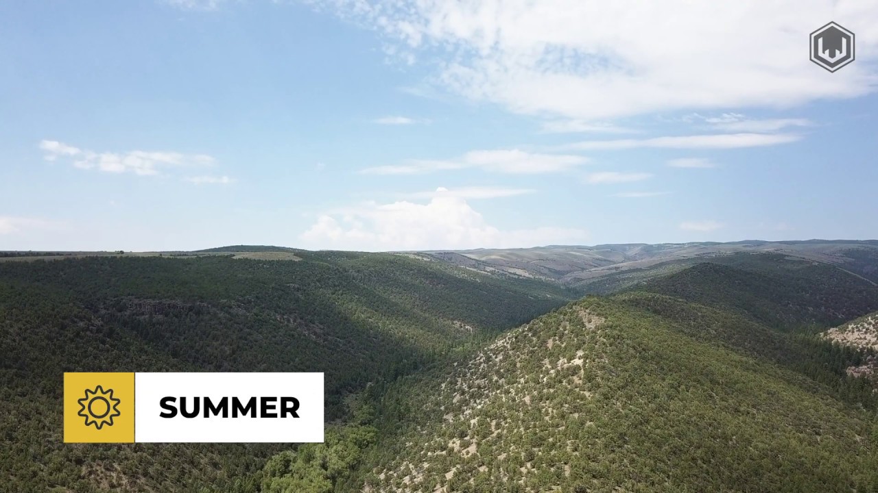 Mt. Dutton (24) Utah Mule Deer YouTube