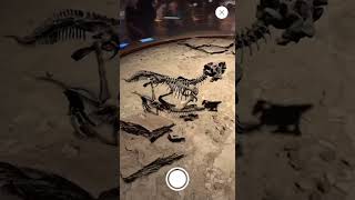 Augmented reality for Museum