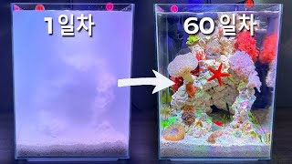 바다의 한 면을 담은 소형 산호초 탱크 만들기