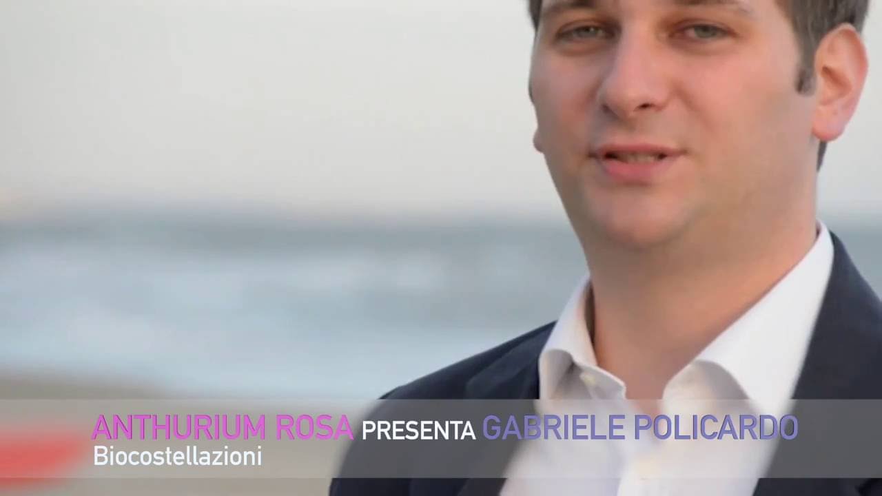 gabriele policardo costellazioni gabriele policardo costellazioni