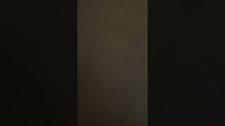 IMG 0344