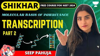 Transcription | Part 2 | Molecular Basis of Inheritance | Seep Pahuja | NEET 2024