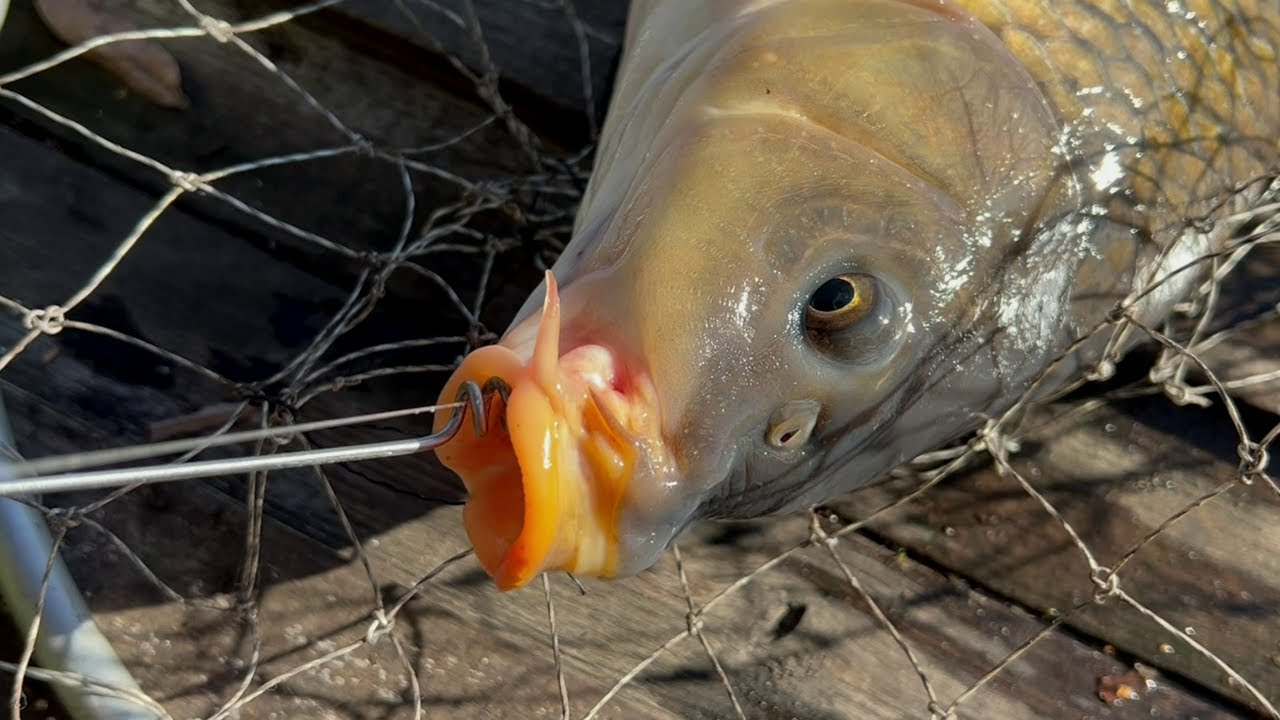 NEEDED TOOL FOR FISHING (from a bicycle spoke) - YouTube
