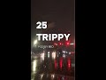 25 trippy official mv  foggy beo