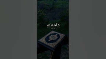 اكتب شيء تؤجر عليه 😴💚 قران كريم | ياسر الدوسري