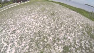 DJI F550 with Naza v2, First Run (Flight Tests)