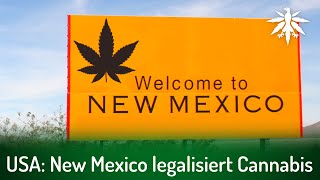 USA: New Mexico legalisiert Cannabis | DHV-News  288