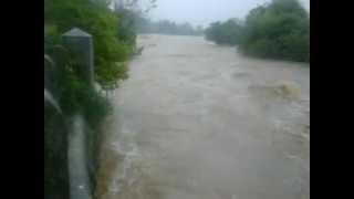 COLYTON FLOOD DEVON