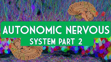 Autonomic nervous system part 2