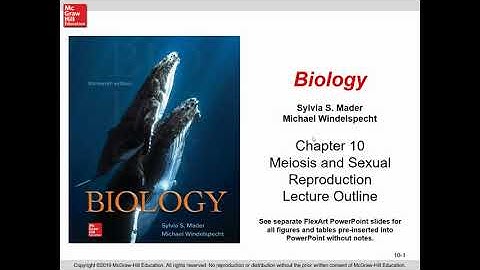 Bio 101 Chapter 10  Meiosis