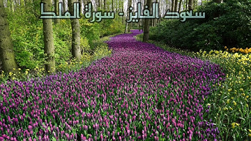 تلاوة مؤثرة يرق لها القلب - القارئ سعود الفايز - سور الملك