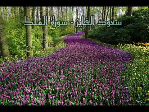 تلاوة مؤثرة يرق لها القلب القارئ سعود الفايز سور الملك