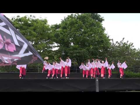 翔華組（あっぱれ富士2015）Mt fujiステージ
