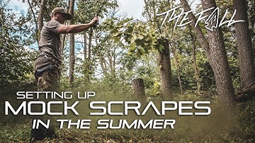 Setting Up Mock Scrapes In The Summer | The Fall Podcast