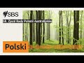 58. Zjazd Rady Polonii Australijskiej | SBS Polish - SBS po polsku
