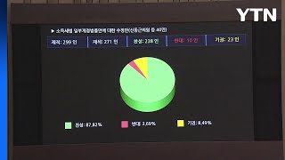 금투세·코인 과세, 2년 유예...소득세법 개정안 통과 / YTN