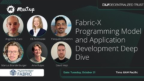 Fabric-X-Programming Model & Application Development