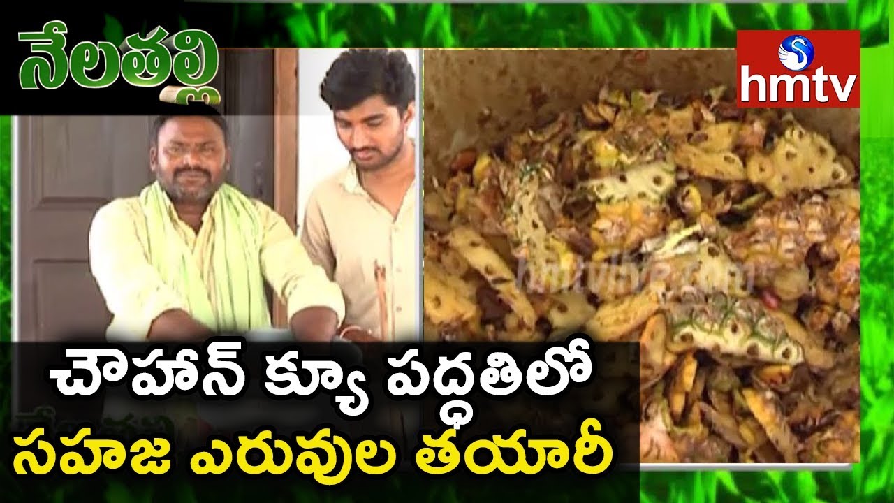 Natural Fertilizers Preparation with Chouhan-Q Technology By Expert Siva Prasad | Nela Thalli | hmtv