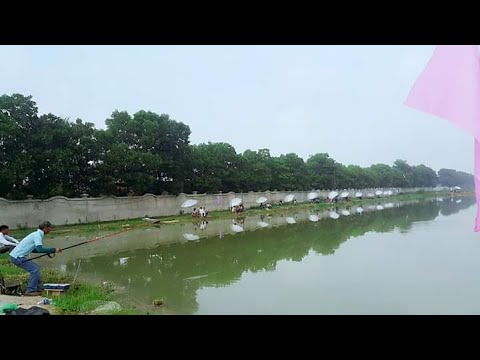 hồ câu giá rẻ ở hà nội Update 2022 HỒ CÂU HẠ TIẾN 0981991874 Hồ câu dịch vụ tại Hà Nội Hồ câu giá rẻ Hà Nội Hồ câu uy tín Hà Nội