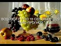 Водолеи с 1 по 15 Сентября 2020 Таро Прогноз