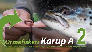 Ormefiskeri Karup Å 2 + BONUS MATERIALE