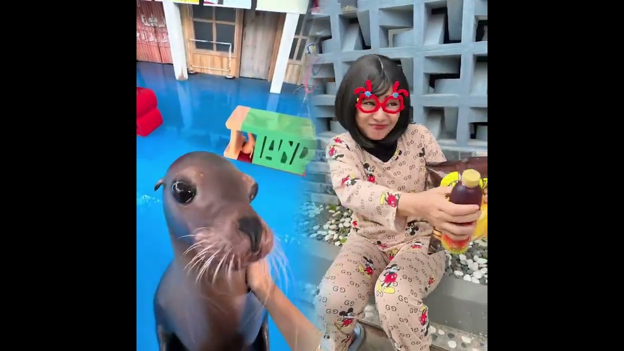 🤣👌👌👌2026 pov Must-Watch Crazy Clips Compilation 