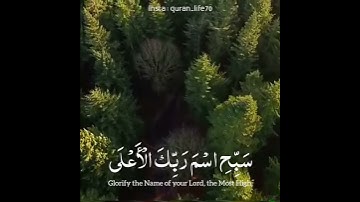 مقاطع انستجرام قرآن"قصيرة"❤️|سورة الأعلى