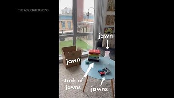 Nepo baby, jawn added to Dictionary.com