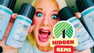“10 Dollar Tree Hidden Gems You Won’t Believe Exist! 🎉 Budget-Friendly Must-Haves!”