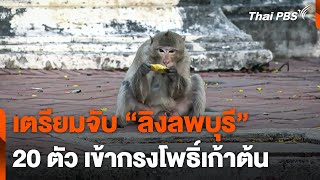 เตรียมจับ 