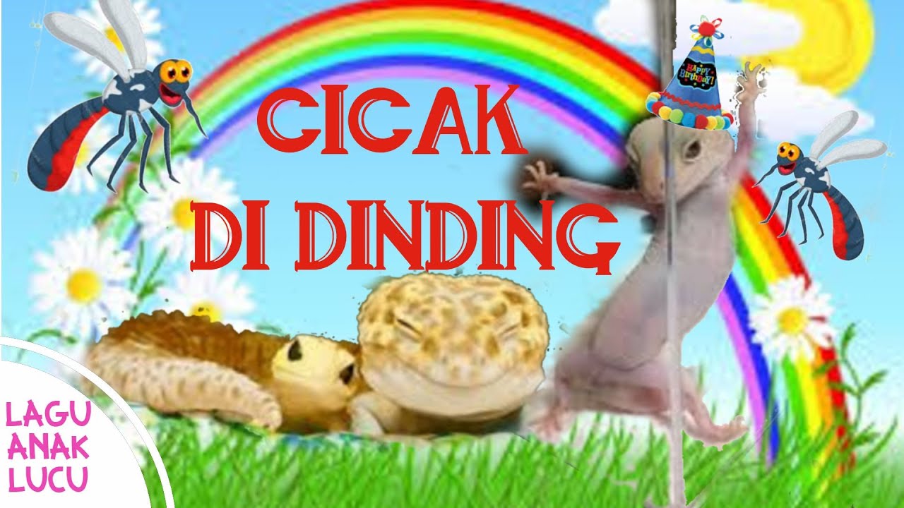CICAK CICAK DI DINDING DIAM DIAM MERAYAP | LAGU ANAK BALITA LUCU