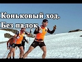 Беговые лыжи. Коньковый ход. Имитация работы рук / skate ski / cross-country skiing