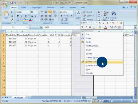 effortlessE webPOS Excel SKU Formatting