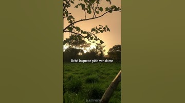 Thumbnail of Fuerza Regida x Grupo Frontera-(Bebé dame) canciones con letras