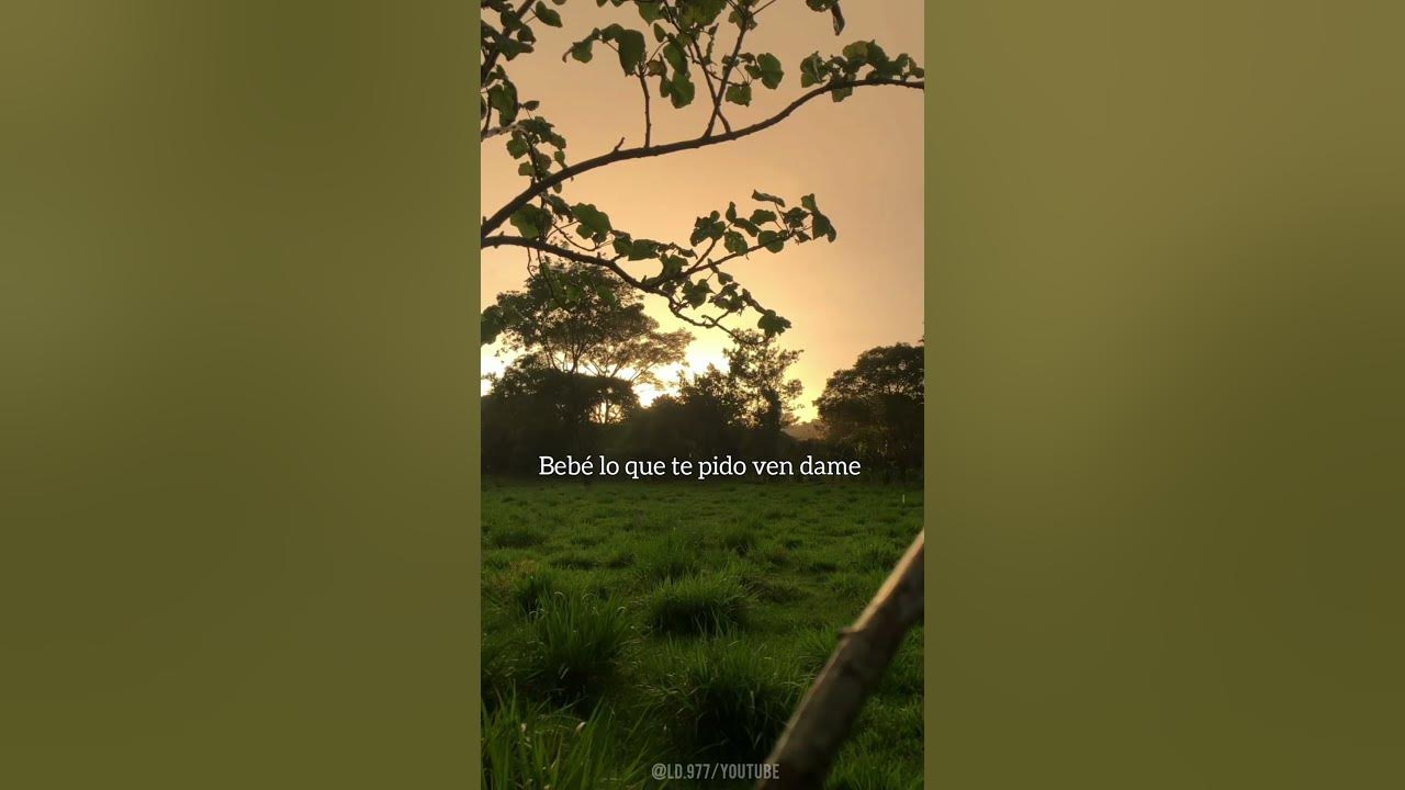 Fuerza Regida x Grupo Frontera-(Bebé dame) canciones con letras