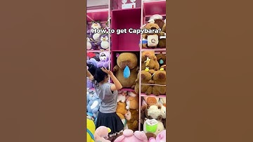 How to get a capybara? #bemorishow #shorts #capybara #teddybear