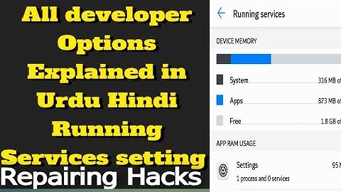 All developer Options Explained in Urdu Hindi Running Services setting Kya ha?
