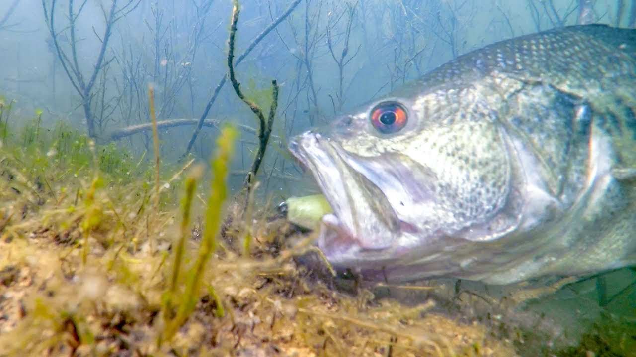 quanjucheer 7cm Trolling Fishing Lures Artificial Underwater Bionic Fish Tackle Crank Bait For Freshwater Seawater