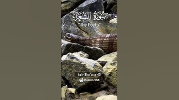Surah Ash Shu'ara  45 Hindi - Urdu Audio translation | سورة الشعراء