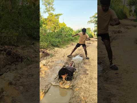 जंप मारते ही दोस्त ने पैर पकड़ लिया 😂#Shorts #Comedy #Funny #DesiComedy #FunnyVideo