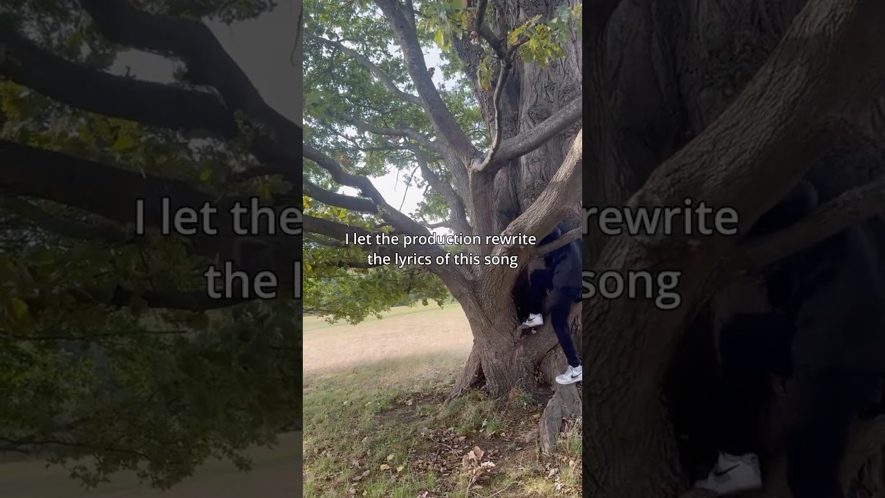 Song: guidance by Relik 