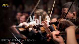 Relaxing Classical Music Vol1 Hi-Res 24-Bit 192Khz Flac Audio