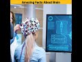 amazing facts about the human brain 🧠 #shorts