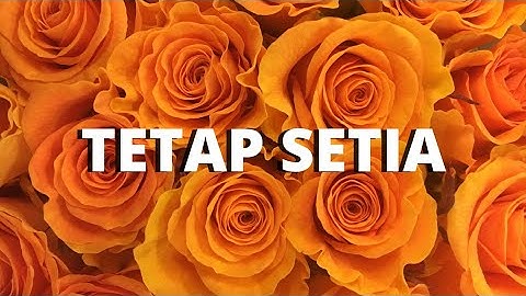 TETAP SETIA BY MIKE MOHEDE (LYRIC)