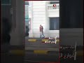 كشف ملابسات فيديو ركل فتاة في شارع بالإسكندرية 