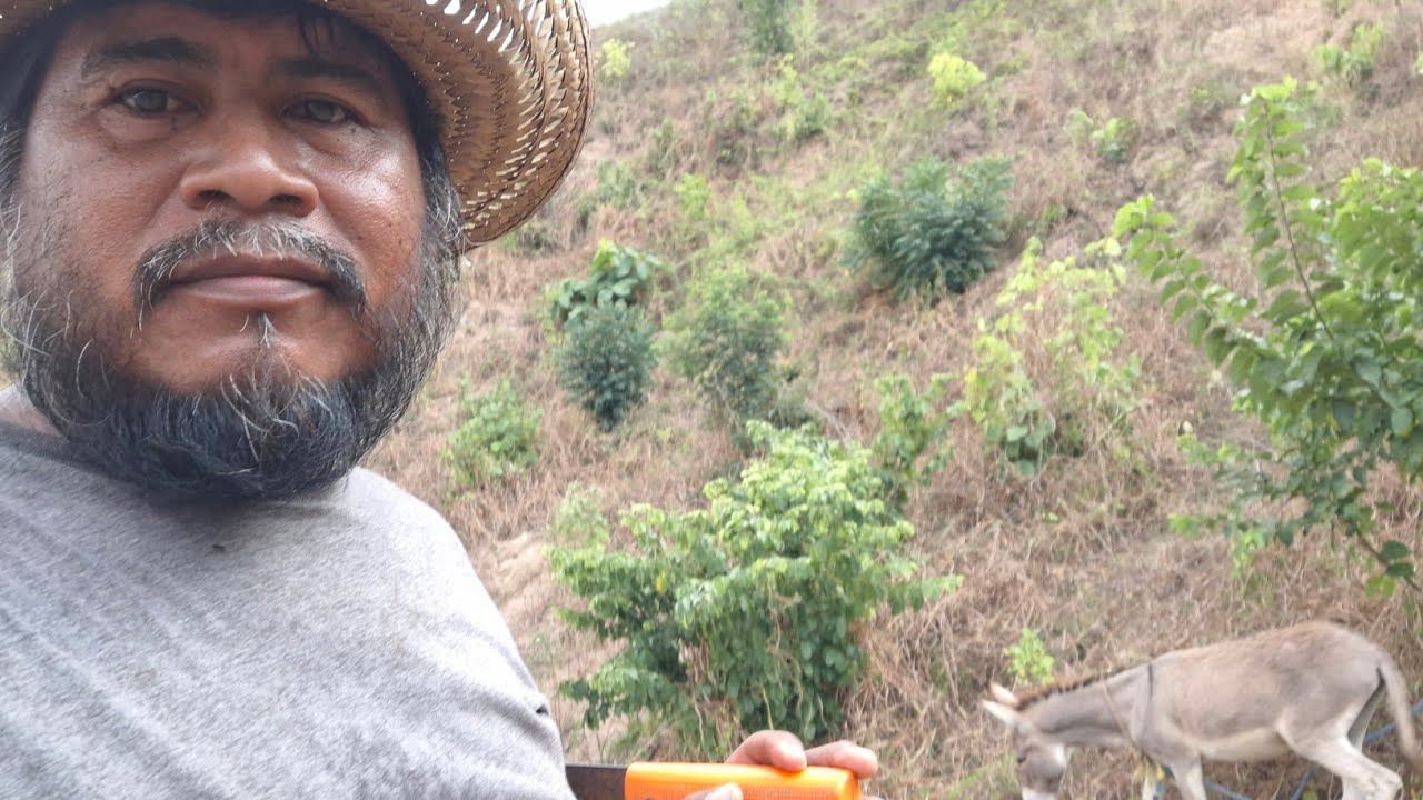 Asta mi potro esta feliz por esta gran bendición 