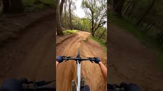 Experience the thrill of mountain biking like never before