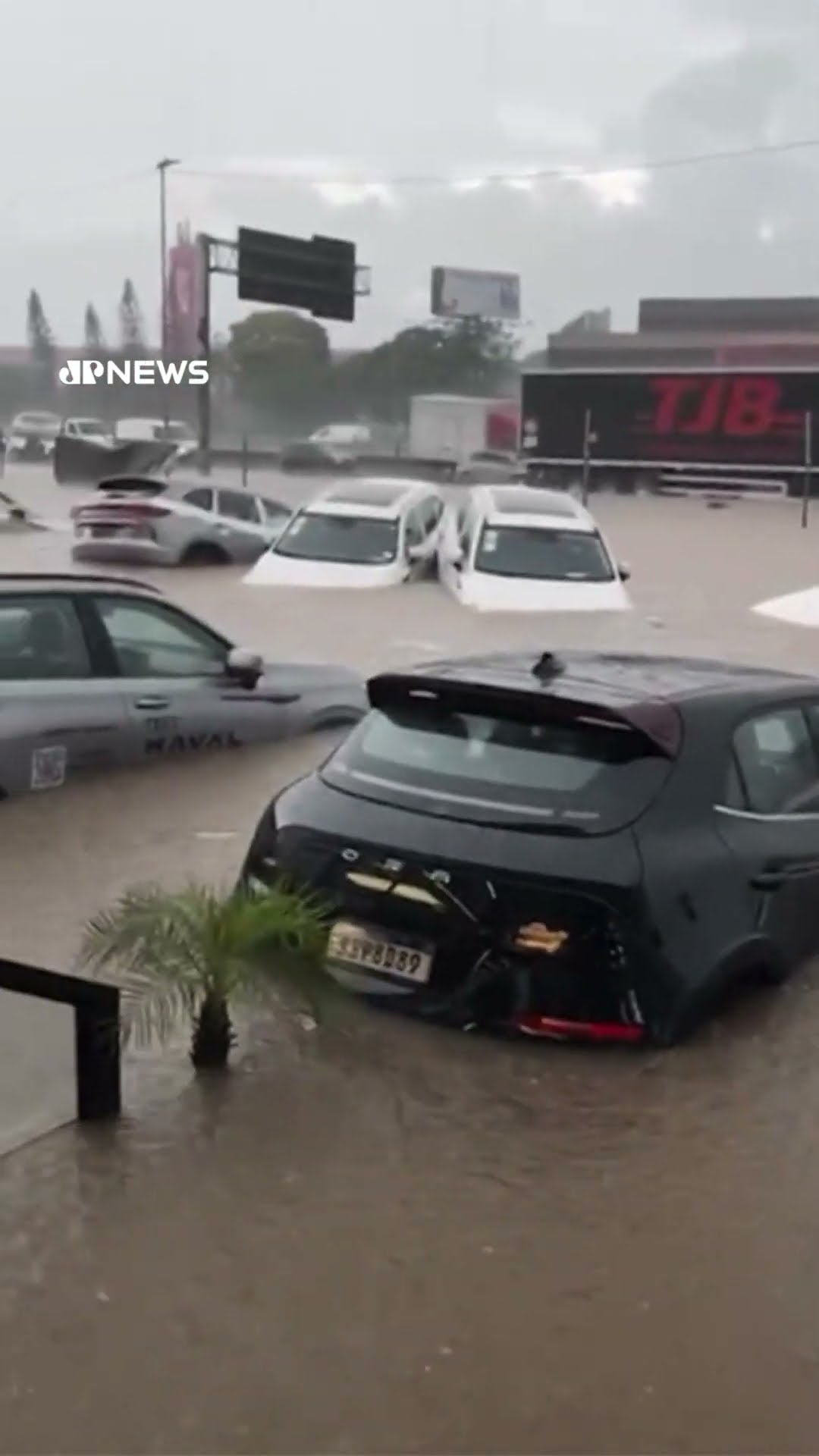 Concessionária de carros elétricos é devastada por alagamento em Guarulhos, SP #Shorts